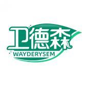 卫德森 WAYDERYSEM 