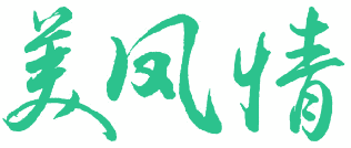 美凤情 