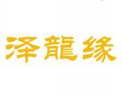 泽龙缘 