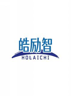 皓励智HOLAICHI 