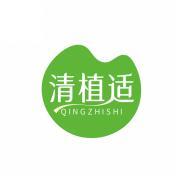清植适   QINGZHISHI 