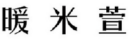 暖米萱 