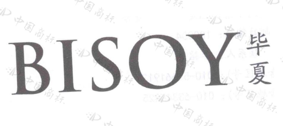 毕夏 BISOY 