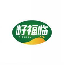籽福临     ZI FU LIN 