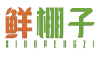 鲜棚子 