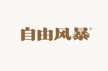 自由风暴 