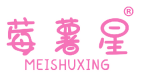 [31类]莓薯星