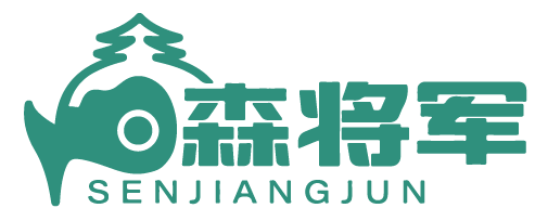 森将军 