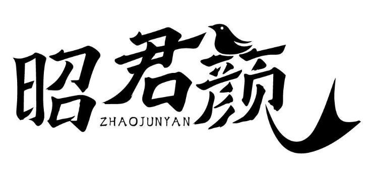 昭君颜 