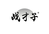 战才子 