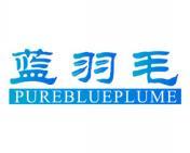 蓝羽毛 PUREBLUEPLUME 