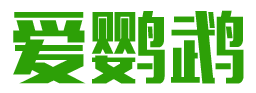 爱鹦鹉 