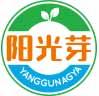 [5类]阳光芽
yangguangya