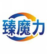 臻魔力 