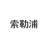 [11类]索勒浦