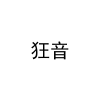 [30类]狂音