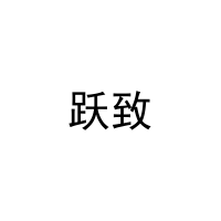[3类]跃致