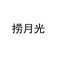 捞月光 