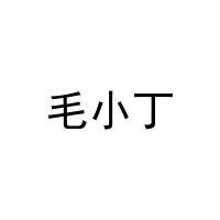 [9类]毛小丁